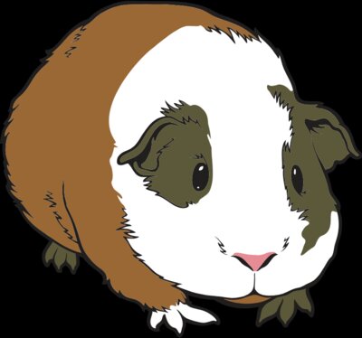 GuineaPig01NC2clr