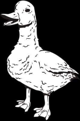 DUCK2