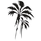 Palmtrees02
