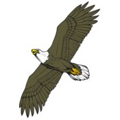 Eagles-Falcons