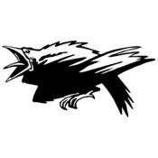 Ravens-Thrashers